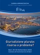  Giurisdizione plurale: risorsa o problema?